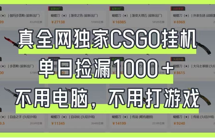真全网独家CSGO挂机，单日捡漏1000+，不用电脑，不用养号