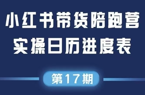 盗坤·抖音小红书视频号短视频带货与直播变现(11-17期)