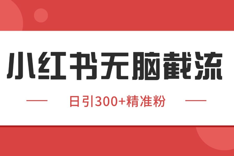小红书截流同行客源，独家野路子获客玩法 日引200+暴力获客