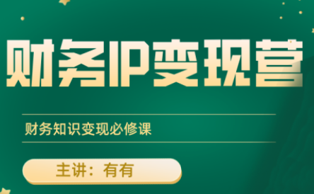有有老师·财务IP变现营，财务知识变现必修课