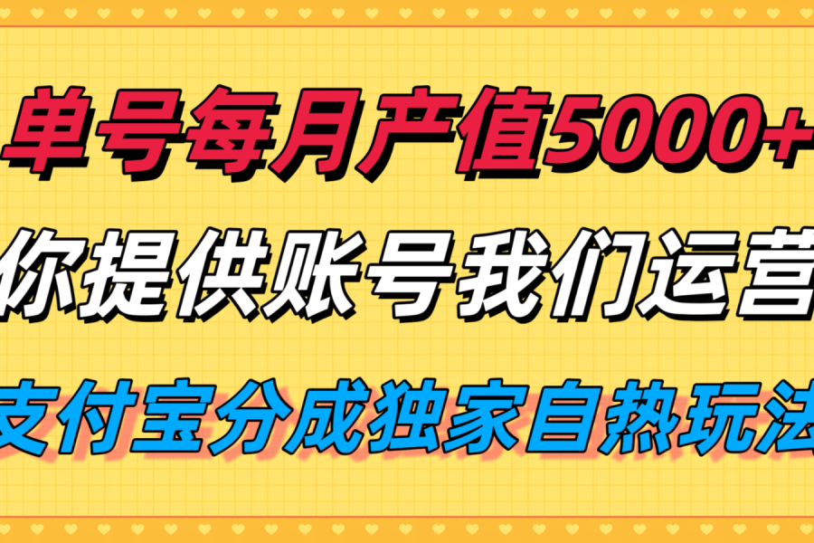 单月产值5000+，支付宝分成代运营，你提供账号坐等分钱，我们帮你运营