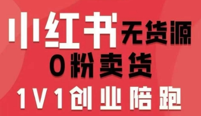 小红书无货源0粉电商课，开店准备、选品策略、笔记撰写、视频剪辑、数据分析、账号打造、资料文档