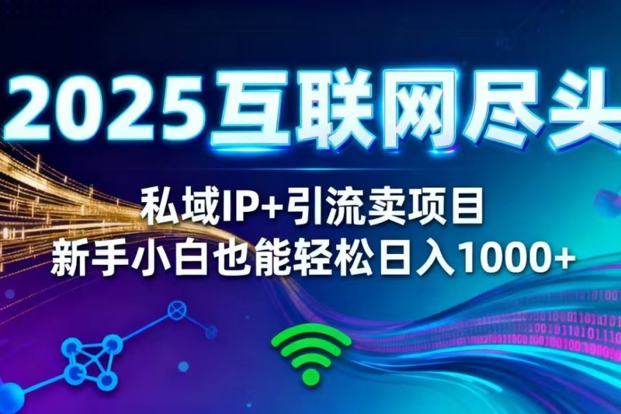 2025网创尽头王炸项目！私域 IP + 精准引流，新手小白在家躺赚日入 1000+