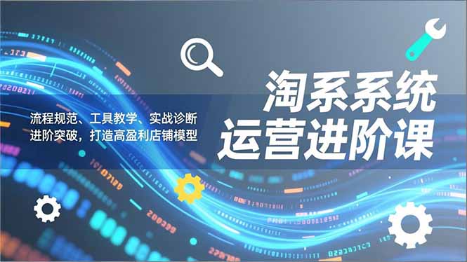 淘系系统运营进阶课2.0，流程规范、工具教学、实战诊断，进阶突破，打造高盈利店铺模型