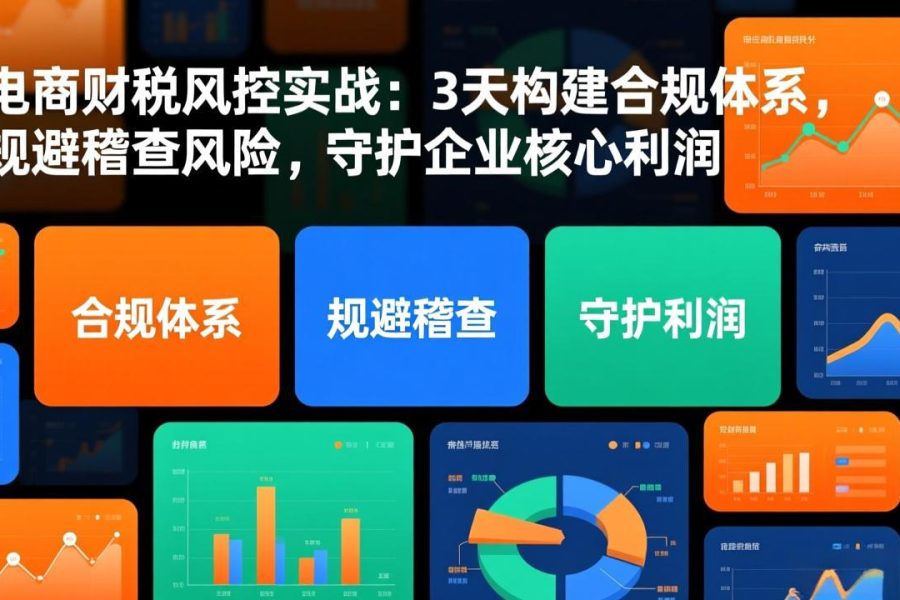 电商财税风控实战：3天构建合规体系，规避稽查风险，守护企业核心利润