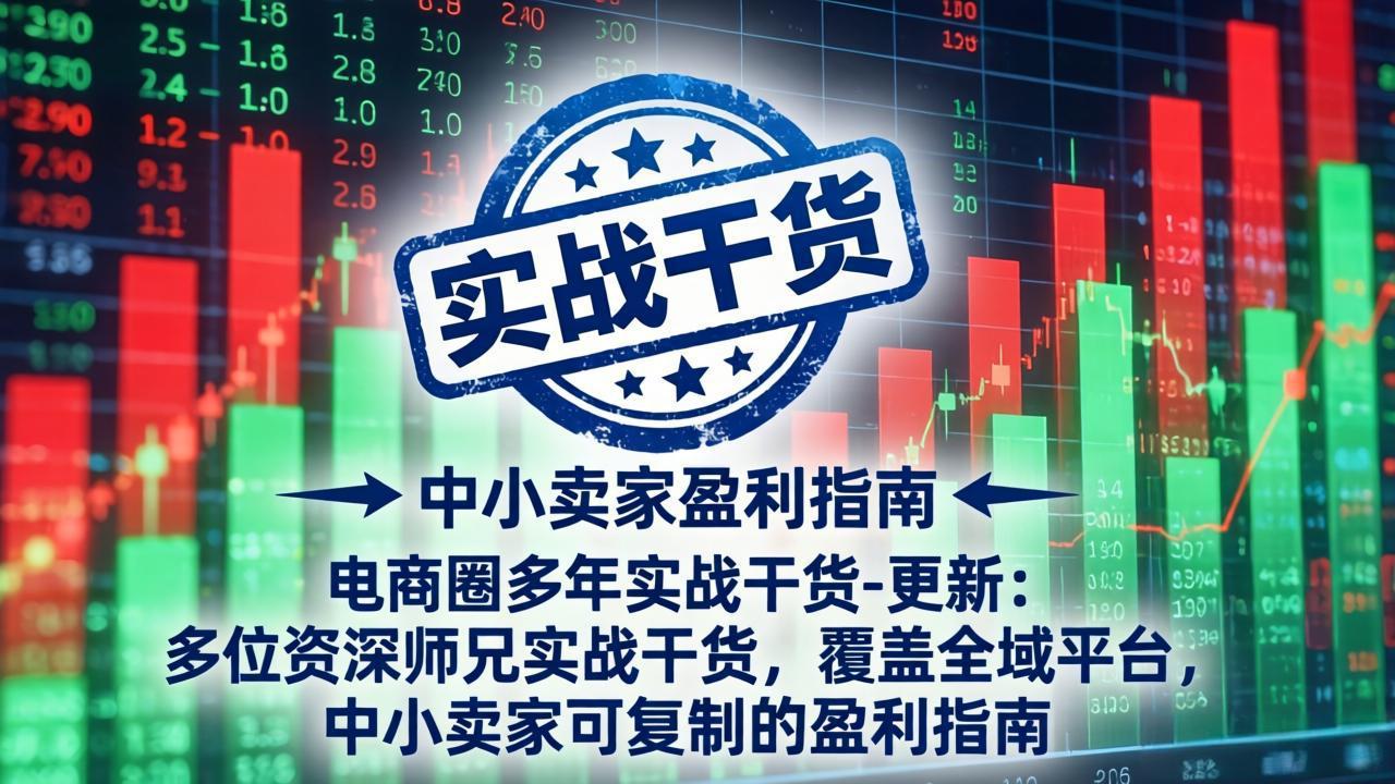电商圈多年实战干货-更新5月10：多位资深师兄实战干货/覆盖全域平台，中小卖家可复制的盈利指南-创课坊